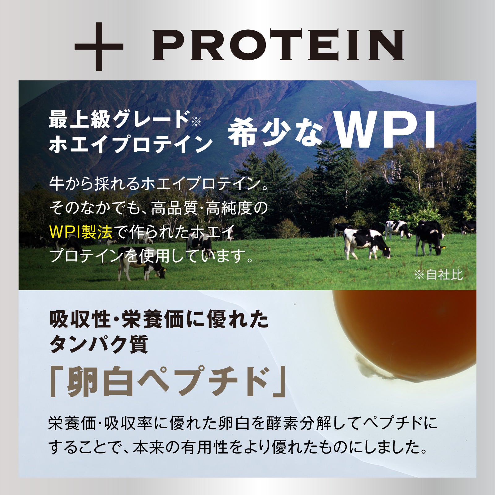 ザ・プロテインEGG 270g