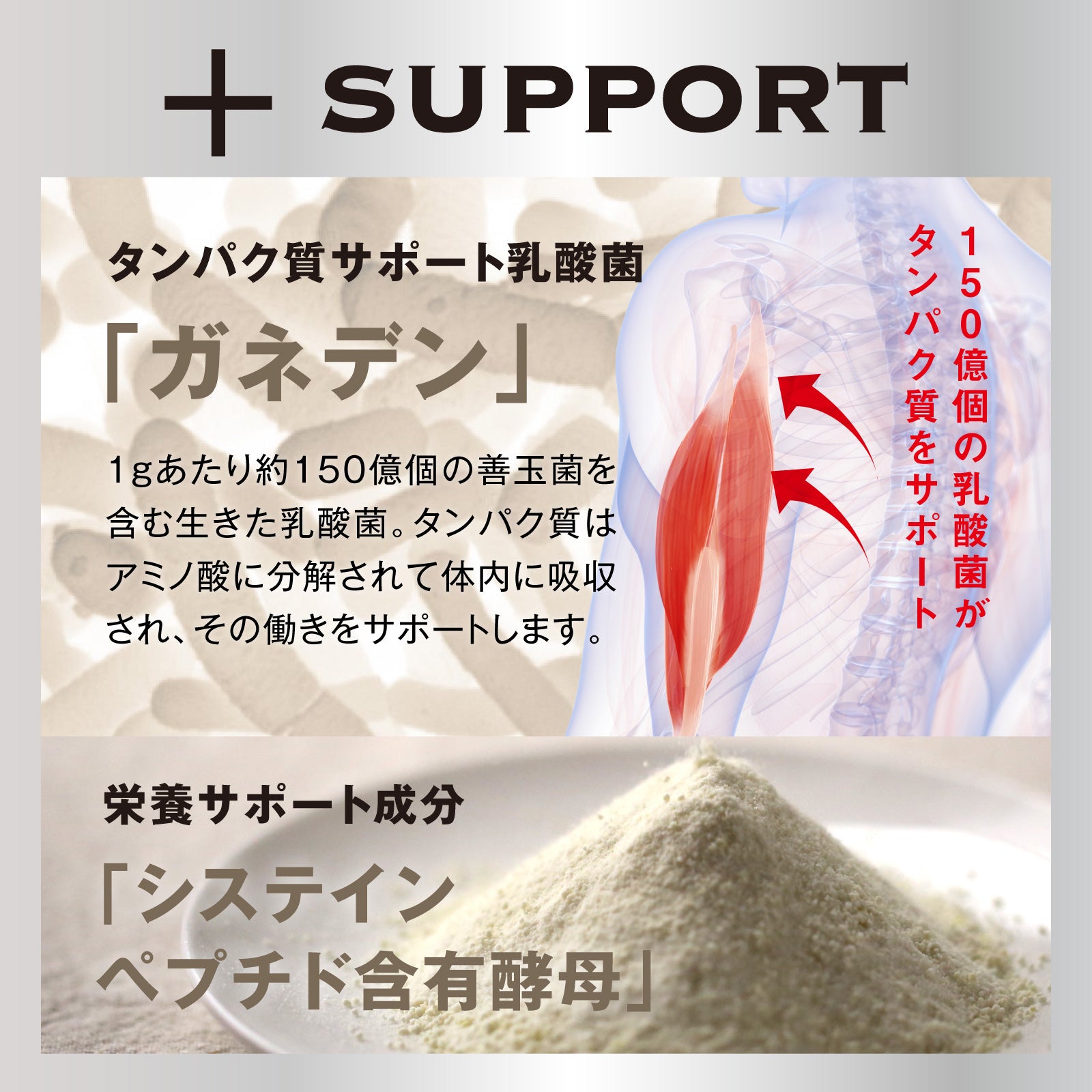 ザ・プロテインEGG 270g