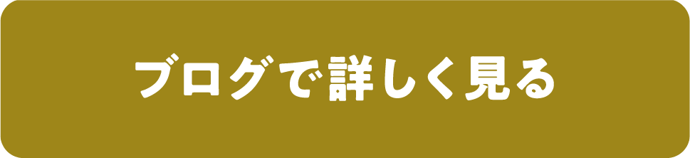 ブログで詳しく見る