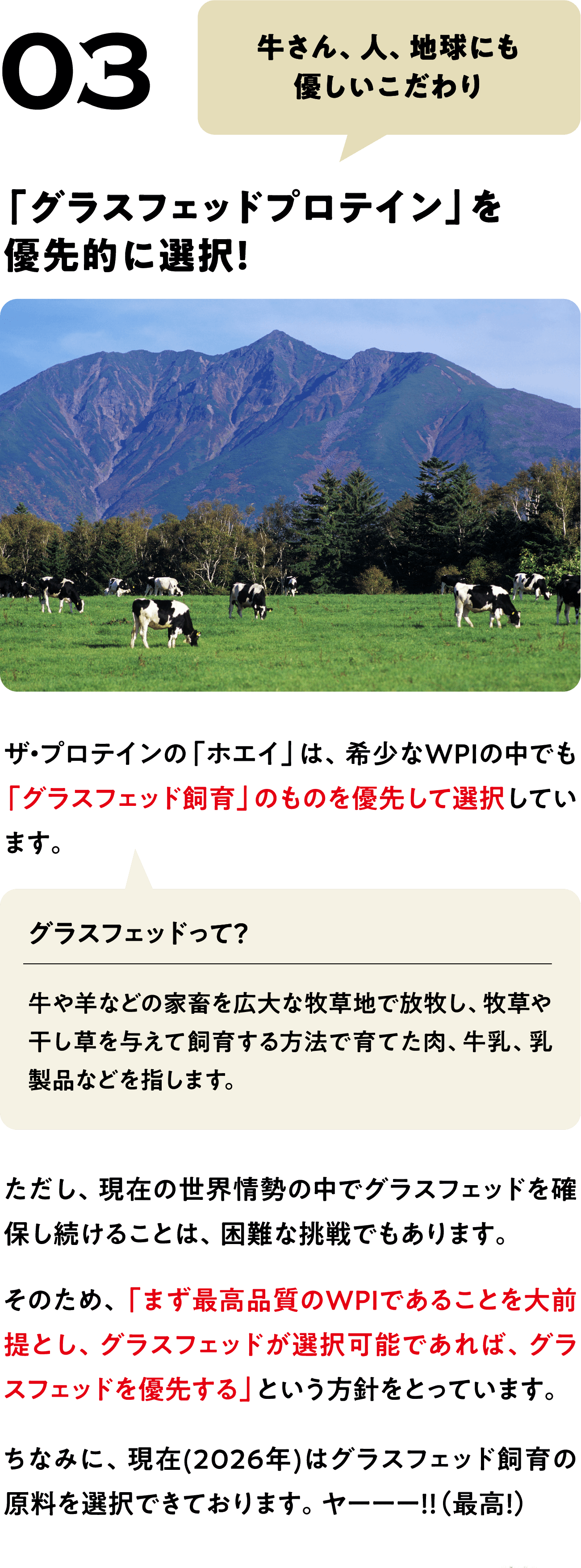 POINT 03
牛さん、人、地球にも
優しいこだわり
「グラスフェッドプロテイン」を
優先的に選択!
ザ・プロテインの「ホエイ」は、希少なWPIの中でも「グラスフェッド飼育」のものを優先して選択しています。
グラスフェッドって？
牛や羊などの家畜を広大な牧草地で放牧し、牧草や干し草を与えて飼育する方法で育てた肉、牛乳、乳製品などを指します。
ただし、現在の世界情勢の中でグラスフェッドを確保し続けることは、困難な挑戦でもあります。
そのため、「まず最高品質のWPIであることを大前提とし、グラスフェッドが選択可能であれば、グラスフェッドを優先する」という方針をとっています。
ちなみに、現在(2026年)はグラスフェッド飼育の原料を選択できております。ヤーーー!!(最高!)